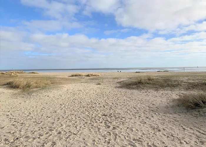 49 2 N Nordkoje 쉴리그